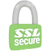 SSL Secured Form
