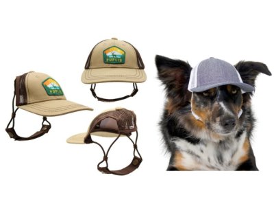 Baseball Caps for Dogs